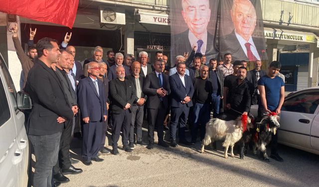 Devlet Bahçeli'nin sağlığına kavuşmasının ardından adak koç kesildi