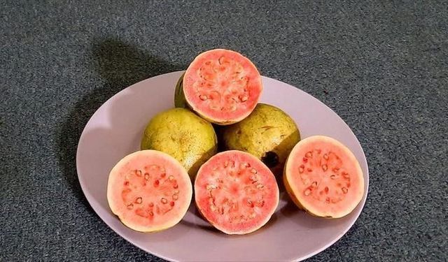 Süper tropik meyve: Guava
