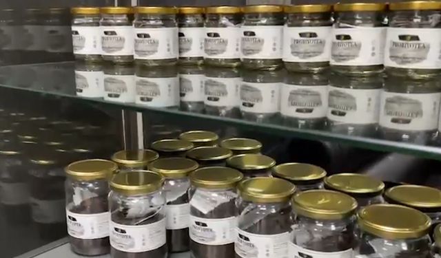 Şifa dağıtacak: Rize'nin çayı ballandı