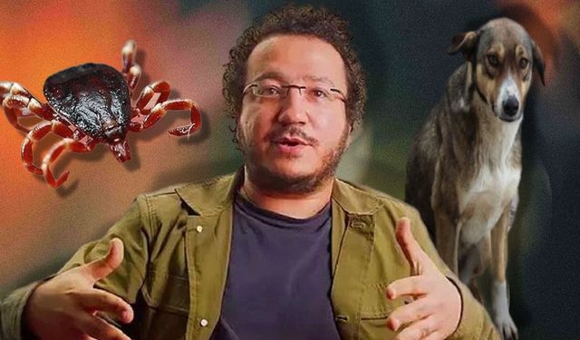 'Köpekleri öldürürseniz kene çoğalır' demişti… Oytun Erbaş haklı mı çıktı?