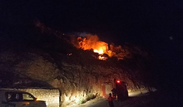 Mardin Kalesi'nde korkutan yangın