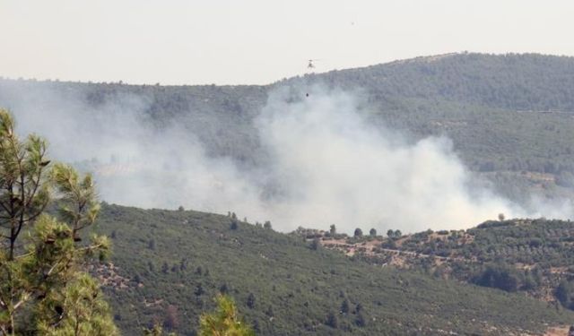 Muğla'da orman yangını