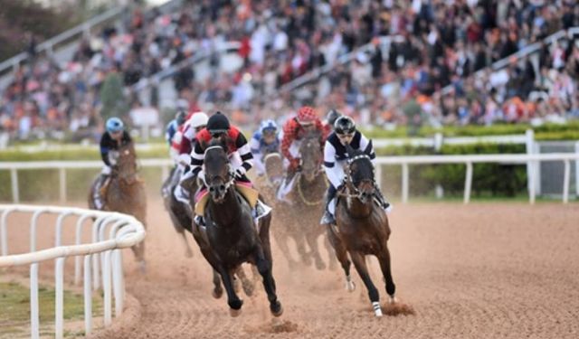 Tüyosu olan kazanır! 1 Aralık at yarışı tahminleri