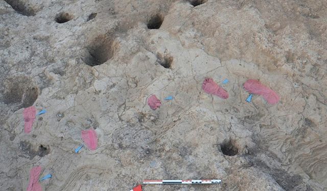 Hatay'daki Tell Kurdu Höyük'te 7 bin yıllık insan ayak izleri bulundu