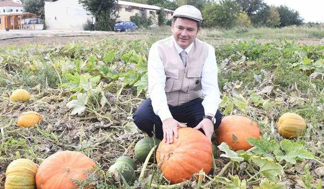 Osmangazi Belediyesi ata tohumlarını geleceğe taşıyor