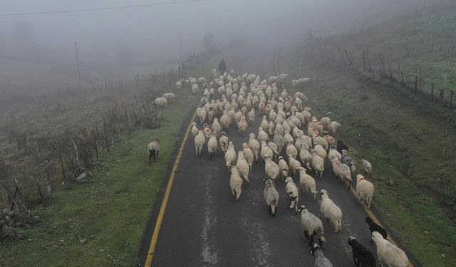 Sisler altındaki Karadeniz yaylalarından dönüş yolculuğu başladı