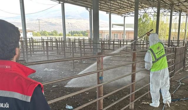 Iğdır’da açılan hayvan pazarı 2 hafta sonra tekrar kapatıldı