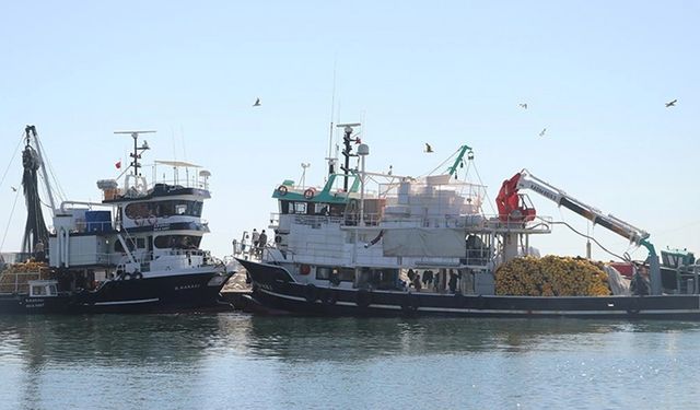 Tekirdağlı balıkçılar poyrazın etkisini yitirmesiyle yeniden denize açıldı