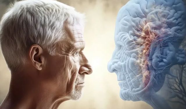 Ne 20’ler ne 30’lar: Beynin zirve noktası farklı çıktı