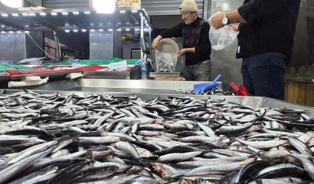 Karadeniz'de bollaştı, kilosu 50TL'ye düştü