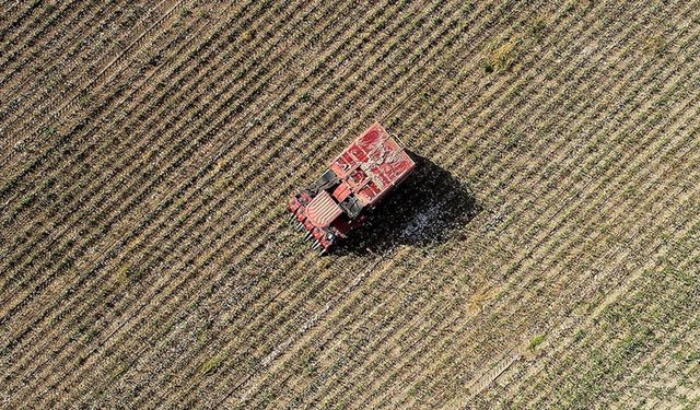 Geçen yıl 105 tarımsal amaçlı kuruluş "birinci derece örgüt belgesi" aldı