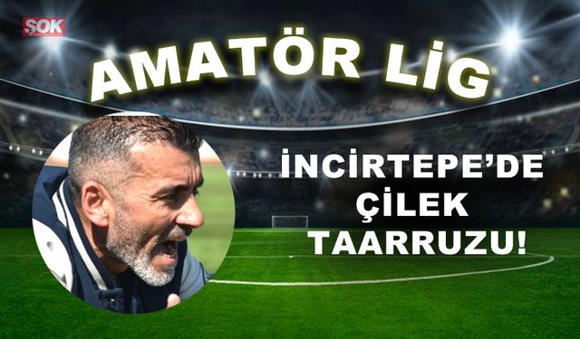 İncirtepe’de çilek taarruzu!