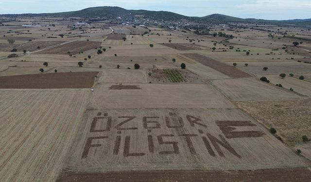 Çanakkaleli çiftçi Filistin'e destek için tarlasına traktörle "Özgür Filistin" yazdı