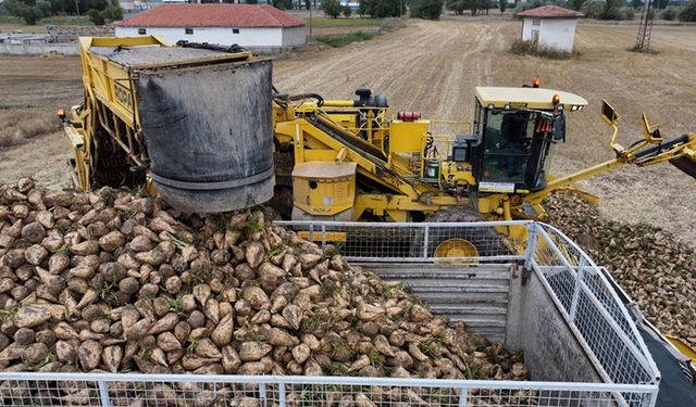 TürkŞeker'in şeker pancarı alım fiyatı ton başına 3 bin 100 lira olarak güncellendi