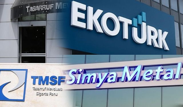 TMSF Ekotürk TV ve Simya Metal’i satışa çıkardı