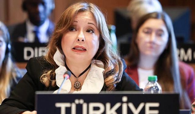 Büyükelçi Aybet, İsrail'in BM kararıyla kurulan UNRWA'yı yasaklamaya hakkı olmadığını belirtti