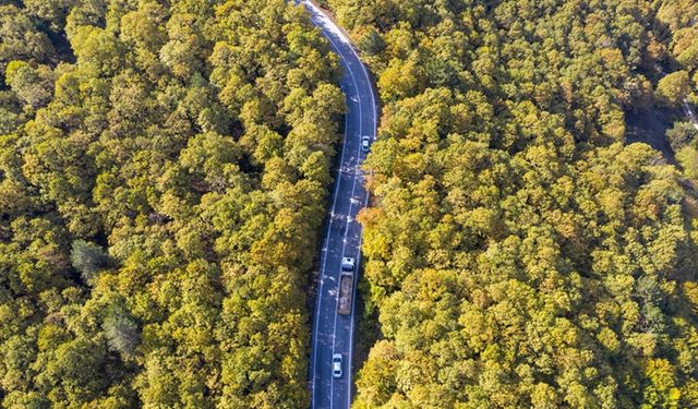 Bolu'da ormanlık alanlar sonbahar renklerine büründü