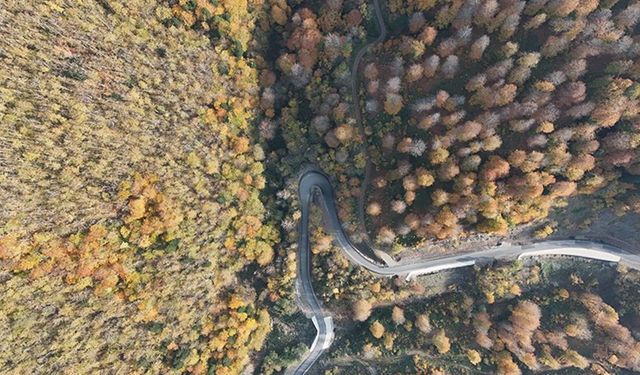 Sinop'ta sonbahar renkleri görsel şölen sunuyor