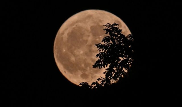 Boğa Dolunayı ne zaman, saat kaçta gerçekleşecek? 2025 Kasım ayı Boğa dolunayı tarihi