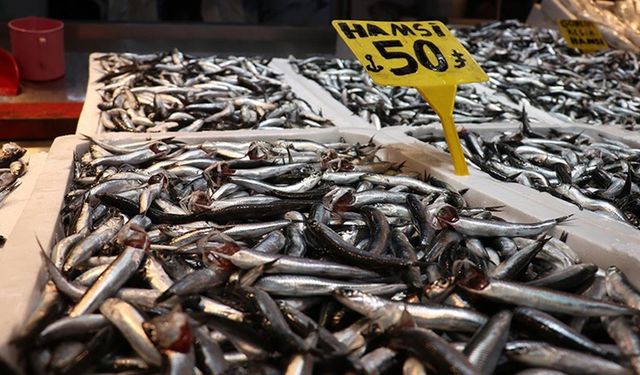 Hamsi bolluğu Trabzon'daki balıkçı tezgahlarında fiyatlara yansıdı