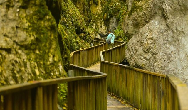 İçinden sonbaharın geçtiği kanyon: Horma