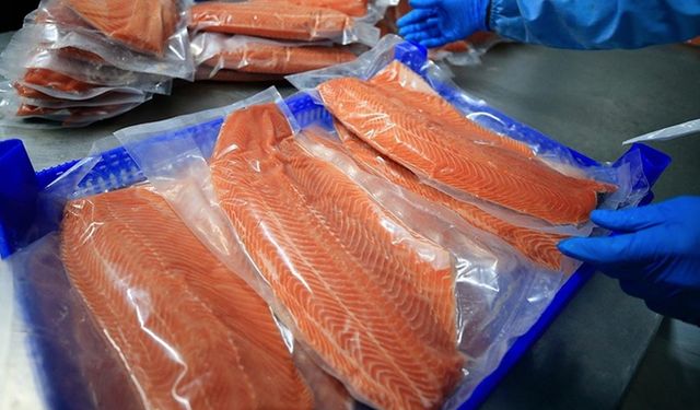Doğu Karadeniz'in 10 aylık Türk somonu ihracatı 152 milyon doları aştı