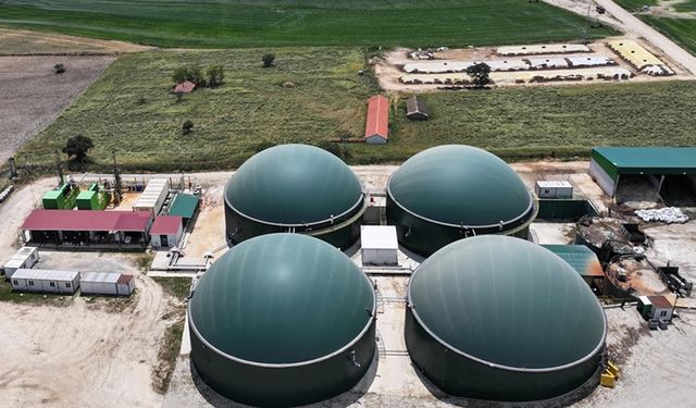 Edirne'de köye kurulan tesiste bitkisel ve hayvansal atıklar elektriğe dönüşüyor