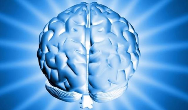 Sağlıklı bir zihin için uzak durun! Nörologlara göre beyne en zararlı 6 besin