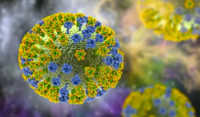 H3N2 virüsü Türkiye'de görüldü mü? H3N2 virüsü nasıl bulaşır, belirtileri neler?