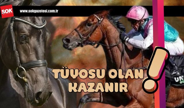 Tüyosu olan kazanır! 13 Ocak at yarışı tahminleri