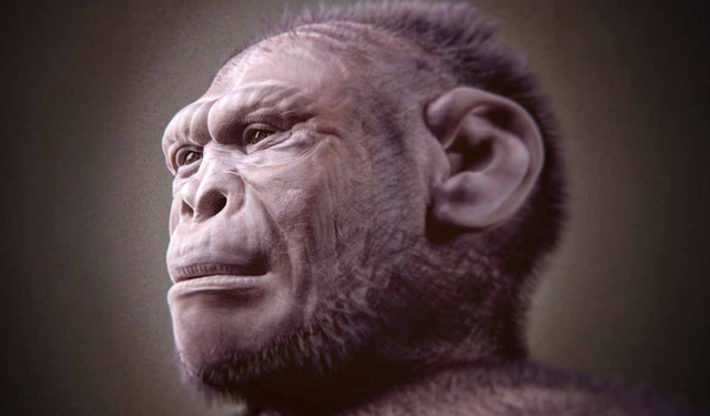 İnsan evriminin şaşırtan keşfi: Tarihin en eski örneği bulundu!