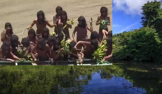 Amazon'un vahşi kabilesi ilk kez böyle görüntülendi: Onlarda da eşit paylaşım yok!