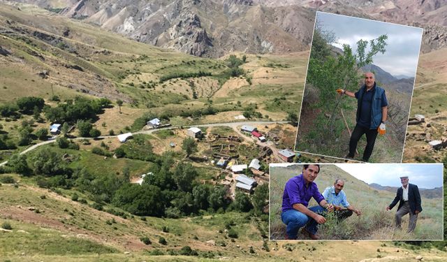 Erozyonla mücadelede 17 yılın ardından zafere ulaşıldı