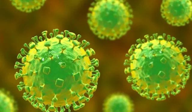 Nipah virüsü nedir, belirtileri neler? Nipah virüsü Türkiye'de var mı, öldürür mü? Tedavisi var mı?