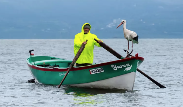 15. yılda da Adem Amca'yı unutmadı! Yaren Leylek yeniden geldi