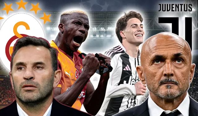 Arenada vahşi gece: Aslan Zebrayı nefes aldırmadan parçaladı!