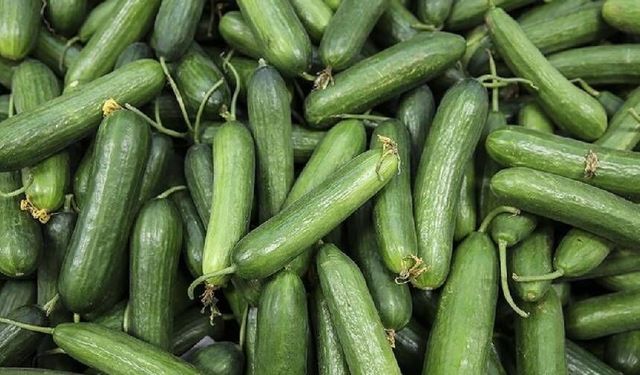 CHP'li milletvekilinden salatalık üzerinden 'hayat pahalılığı' tepkisi