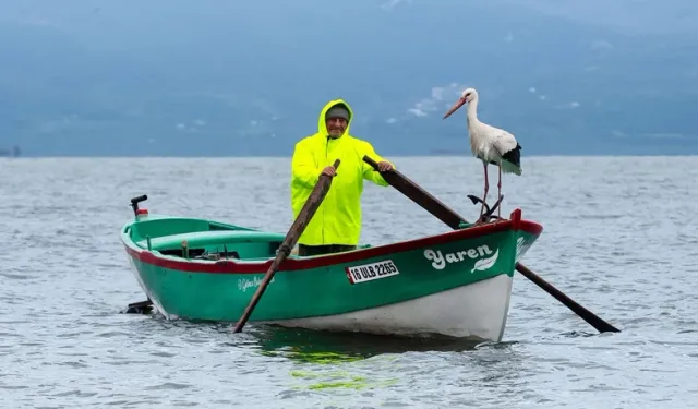 Yaren Leylek geldi mi? 2026 yılında Yaren Leylek ne zaman geldi?