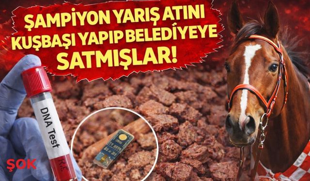 Şampiyon yarış atı 'Smart Latch' kavurma oldu: Skandal çiple ortaya çıktı!