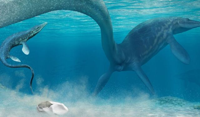 'Dev' 68 milyon yıllık yumurtanın gizemi: Uzmanlar şaşkın durumda...