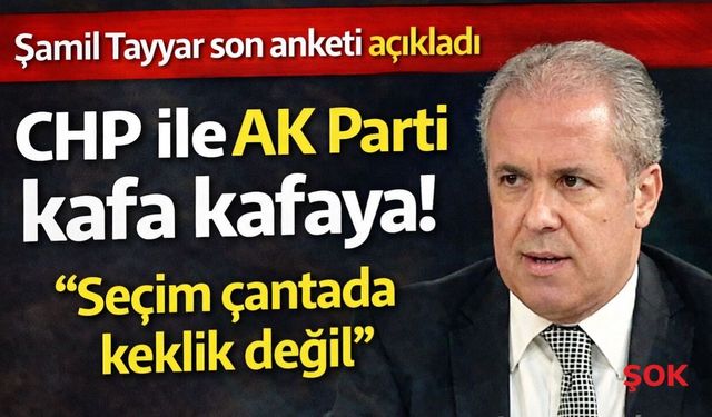 Şamil Tayyar’dan flaş anket yorumu: 'Çantada keklik değil'