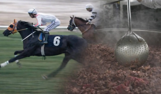 Yarış atı yediren firmadan ikinci skandal: Bu kadarına da 'Pes'