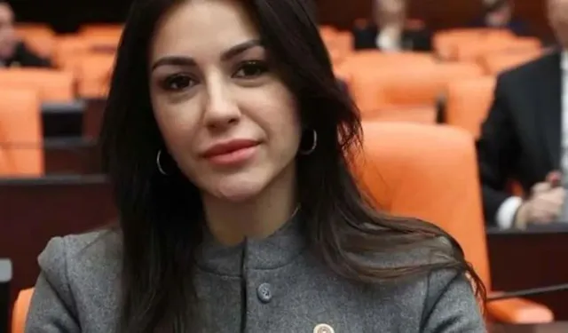 Nilhan Ayan kimdir, aslen nereli? AK Parti Çevre ve Şehircilik Politikaları Başkanı Nilhan Ayan kaç yaşında?