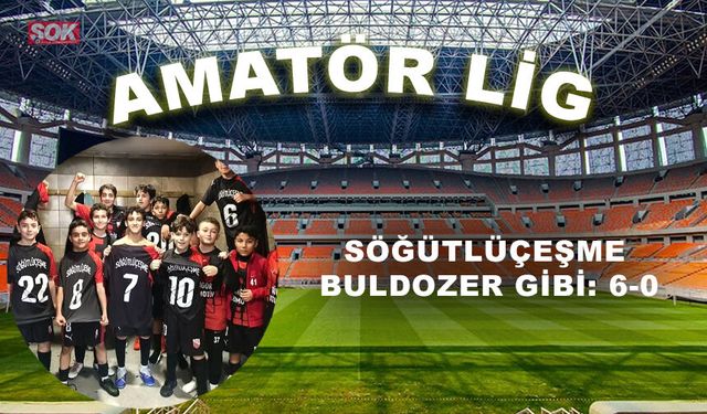 Söğütlüçeşme buldozer gibi: 6-0