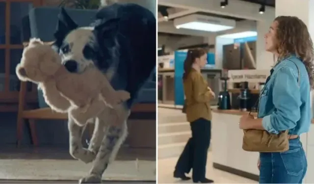 Bosch Anneler Günü reklamı neden kaldırıldı? Bosch Anneler Günü reklamı olayı nedir?