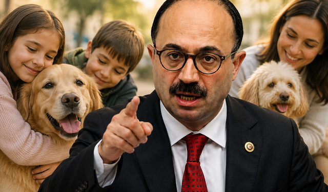AK Partili vekilden köpek sahipleri ve hayvanseverlere küfür gibi sözler: 'Köpekçi terörü'