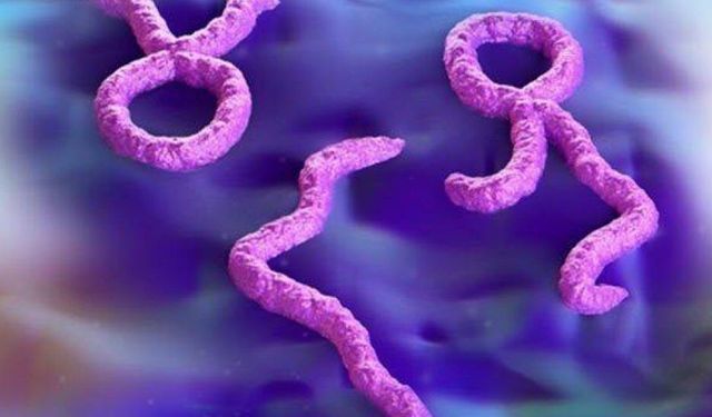 Kongo'da Ebola salgını sağlık krizi haline geldi! 'Kritik seviyeyi aştı'