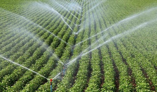 Tarımda 2025'te 72 bin 149 hektar alan sulamaya açılmıştı: 12 milyar lira katkı sağlandı