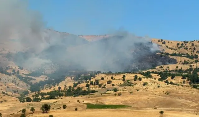 Diyarbakır'da korkutan orman yangını! Ekipler müdahale ediyor