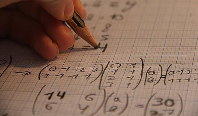 Matematikte Türk fırtınası: Dünya finalinden 53 madalya ile döndük!